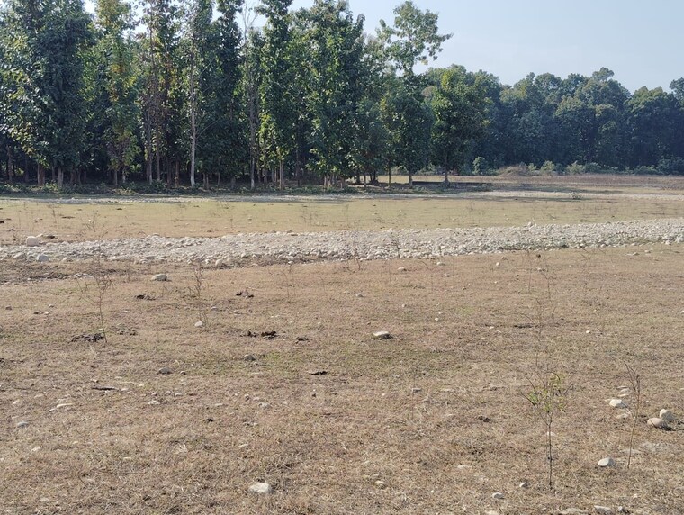 Nearby, kalyanpur  100 Sq.Yd. Plot In Kalyanpur Dehradun 10496649