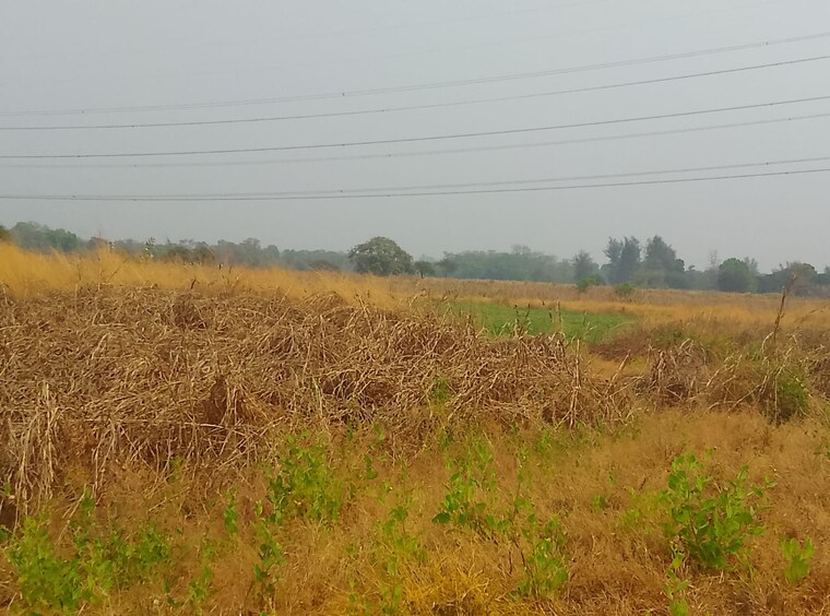 undefined, panvel  1089 Sq.Ft. Plot In Panvel Navi Mumbai 10496773
