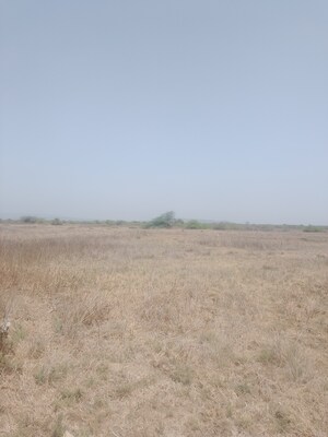  Plot For Sale in Panvel