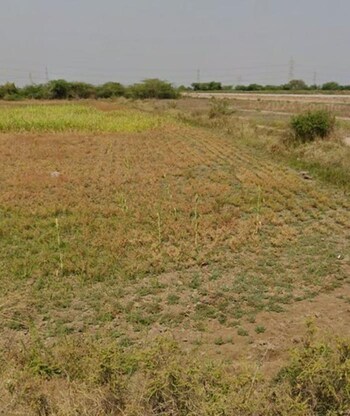 Plot for Sale in Dholera, Ahmedabad