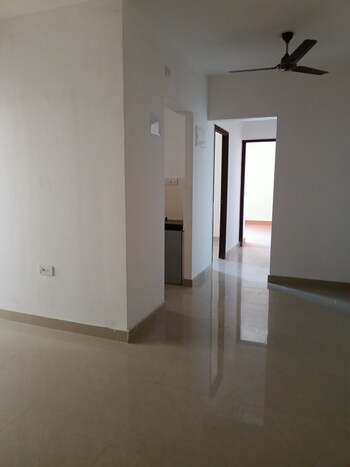 DB Orchid Ozone