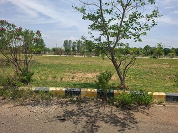 Plot for Sale in Peddapur, Sangareddy