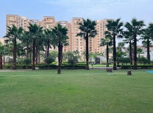 3 BHK Apartment – Garden View at Motiaz Royal Citi, Ambala Highway - for Rent