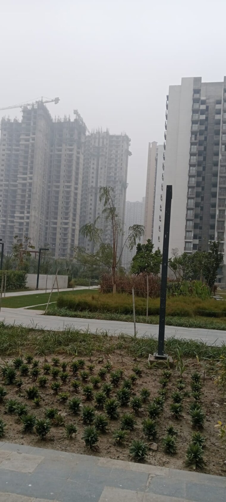 Exterior View, godrej-nest 3 Bedroom 1548 Sq.Ft. Apartment In Sector 150 Noida 10515389