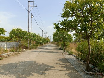 Land for Sale in Ujjain Road, Indore