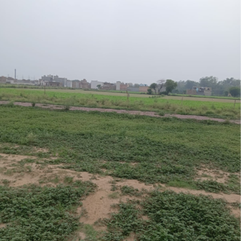 Plot for Sale in Sector 56, Faridabad