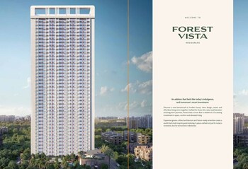 Kashimira Forest Vista