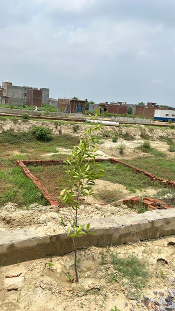 Plot for Sale in Dadri, Greater Noida