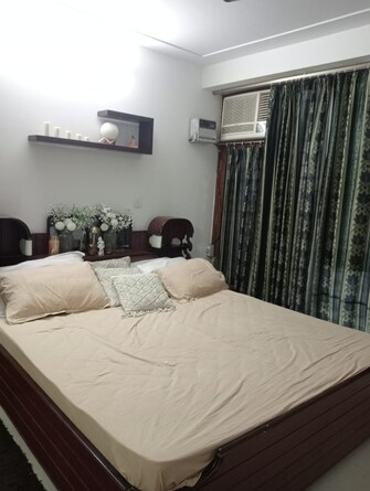 2 BHK + Store Room Builder Floor For Rent in RWA Apartments Sector 52 in Sector 52, Noida