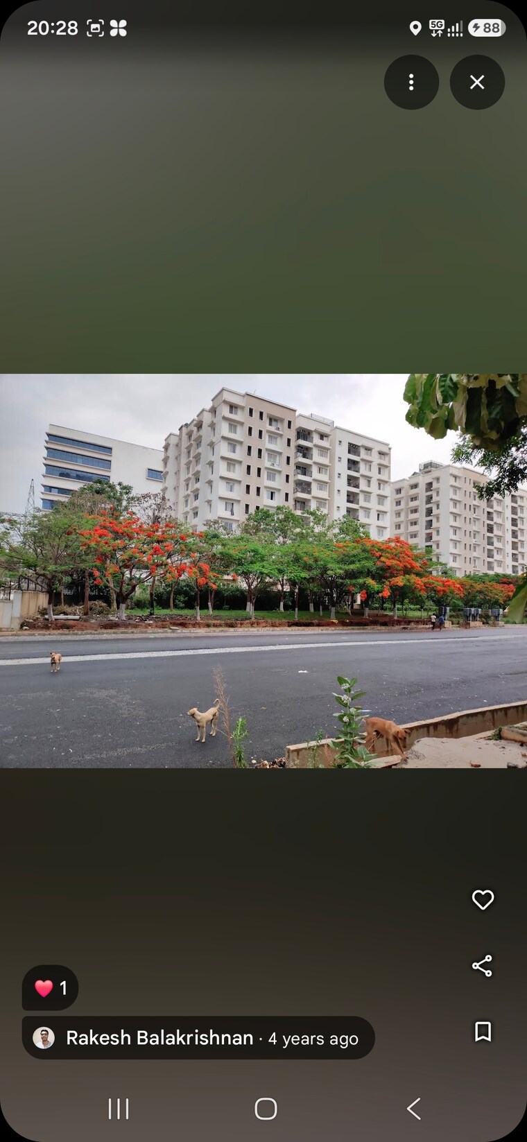 Swimming Pool, prestige-sunnyside 4 Bedroom 2459 Sq.Ft. Apartment In Bhoganhalli Bangalore 10555973