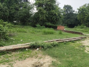 Plot Area in  Plot at Sevai – for Sale
