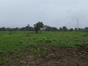 Plot Area in  Land at Savli – for Sale