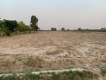 918 Sq.Yd. Plot in Jattari