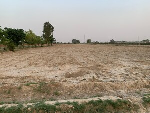  Plot For Sale in Jattari