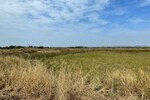 5023 Sq.Ft. Plot in Panvel