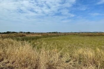 Plot for Sale in Panvel, Navi Mumbai