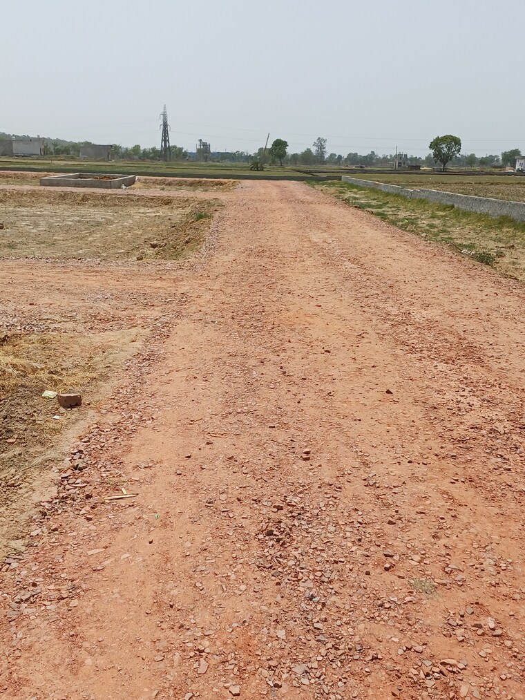 undefined, karnera village  76 Sq.Yd. Plot In Karnera Village Faridabad 10560884