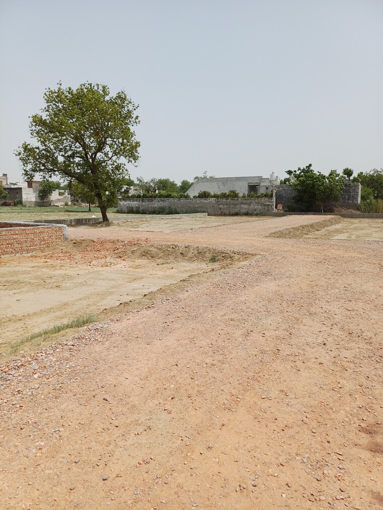 undefined, karnera village  76 Sq.Yd. Plot In Karnera Village Faridabad 10560884