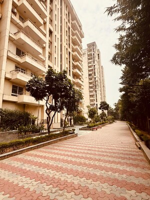 4 BHK Builder Floor – Exterior View View at AEZ Aloha, Sector 57 - for Rent