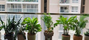 Balcony in 3 BHK Apartment at Marina Skies, Hi Tech City – for Rent
