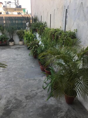 3 BHK Builder Floor – Garden View at East Of Kailash - for Rent