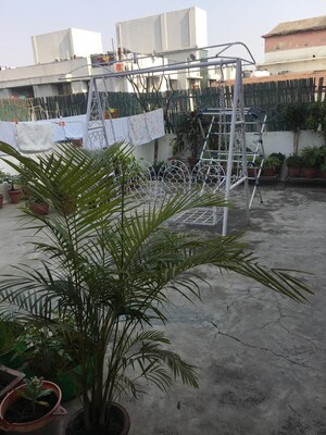 Balcony in 3 BHK Builder Floor at East Of Kailash – for Rent