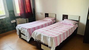  Pg For Rent in Sector 16