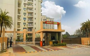 2 BHK Apartment For Rent in BPTP Park Prime, Sector 66