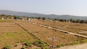 Plot For Sale in Sector 14