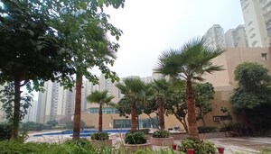 2 BHK Apartment – Exterior View View at Paras Tierea, Sector 137 - for Sale