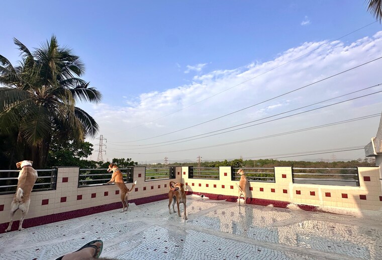 Exterior View, southfield-gravity 6 Bedroom 30000 Sq.Ft. Penthouse In Bhandup East Mumbai 10562973