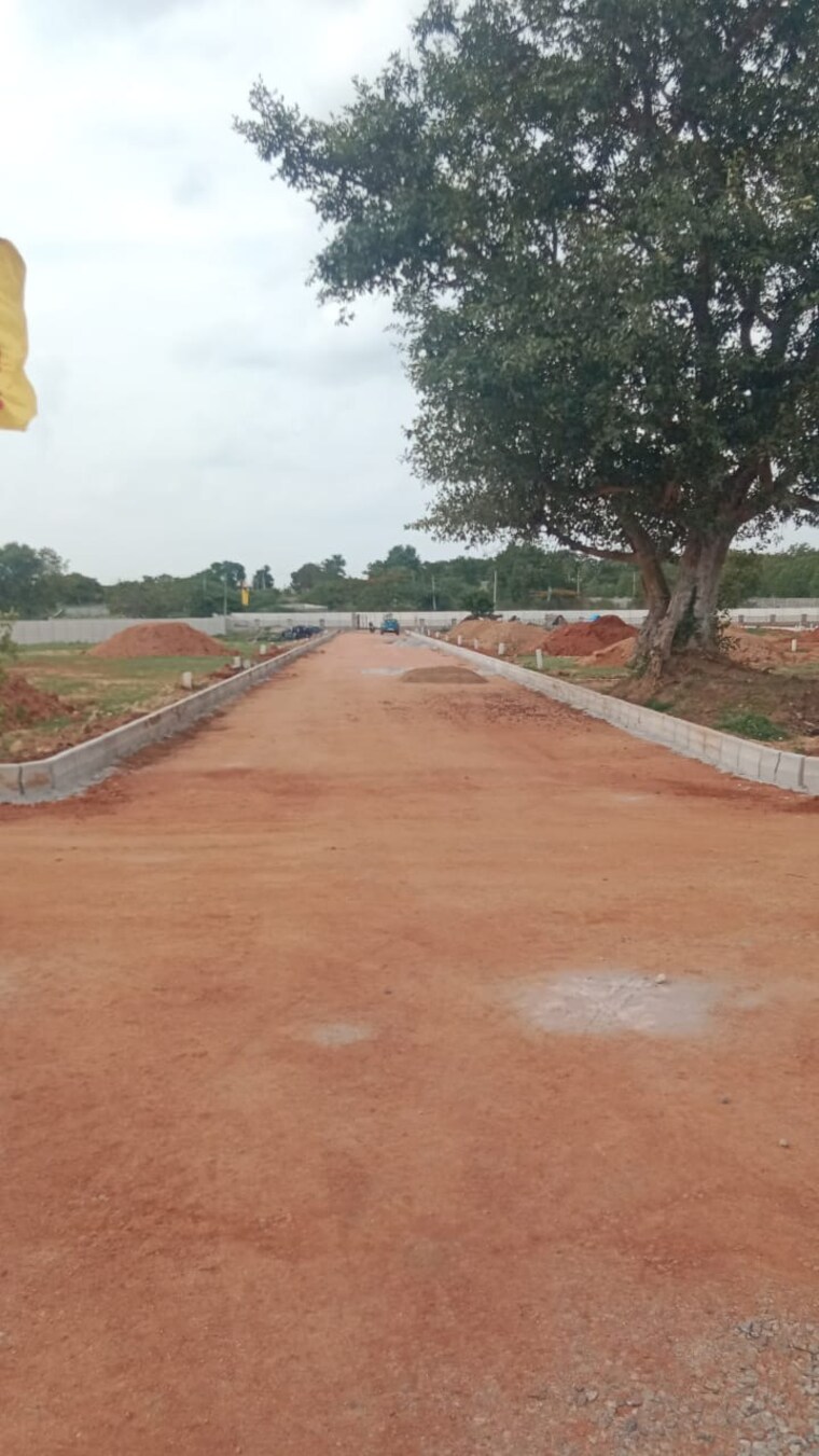 undefined, shadnagar  183 Sq.Yd. Plot In Shadnagar Hyderabad 10563068