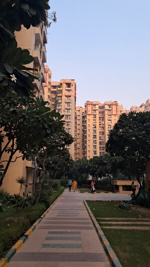 2.5 BHK Apartment – Exterior View View at Sector 76 - for Sale