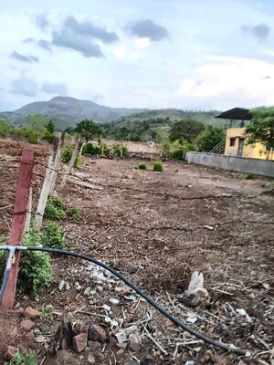 Plot Area in  Plot at Pali – for Sale