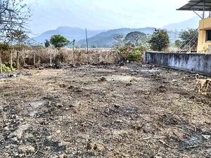 Plot Area in  Plot at Pali – for Sale