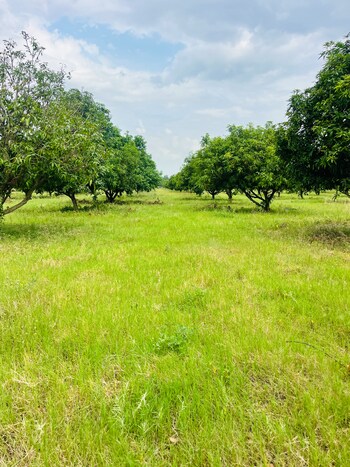 Plot for Sale in Surampalli, Vijayawada