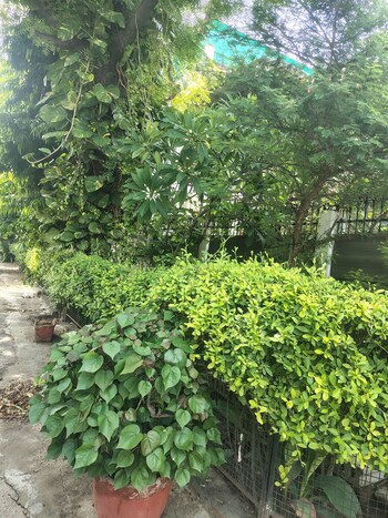 5 BHK Villa for Sale in Sector 55, Noida
