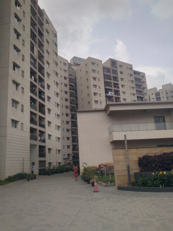 Century Breeze