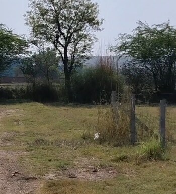 Plot for Sale in Sohna Sector 5, Gurgaon