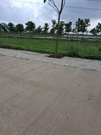 Plot for Sale in Omex City, Indore