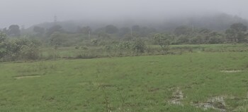 Plot for Sale in Igatpuri, Nashik