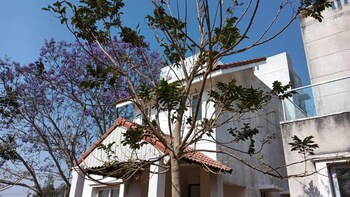 Jains Villa Vivianaa