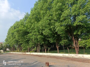 Plot for Sale in Kaivalya Dham, Raipur