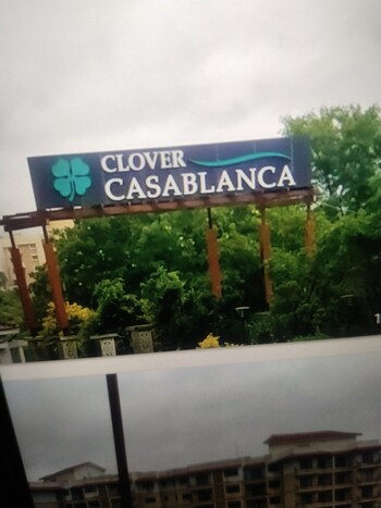 Clover Casablanca
