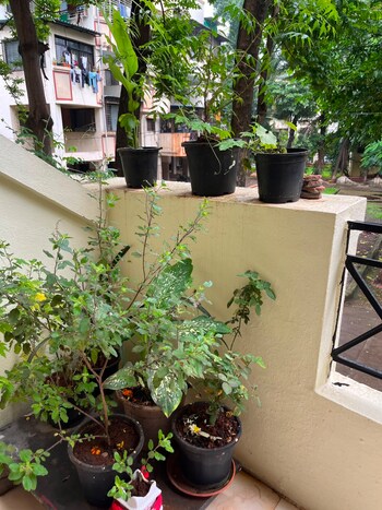 Laxmi Nagar Society