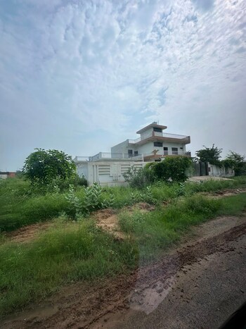 ABA Ivy County