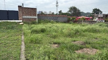 Plot for Sale in Aamwala, Dehradun