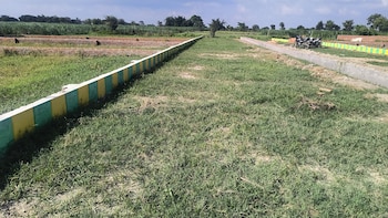 Plot for Sale in Milkipur, Ayodhya
