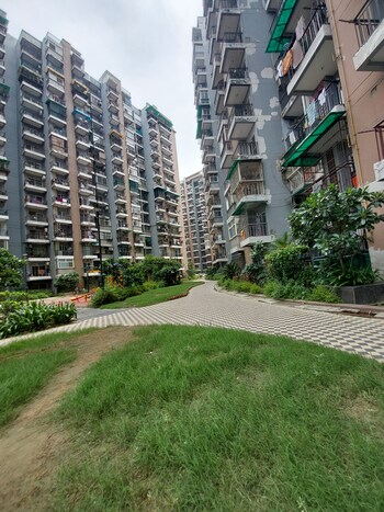 Saviour Park