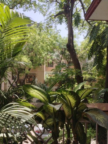 3 BHK Flat for Sale in Sarita Vihar, Delhi